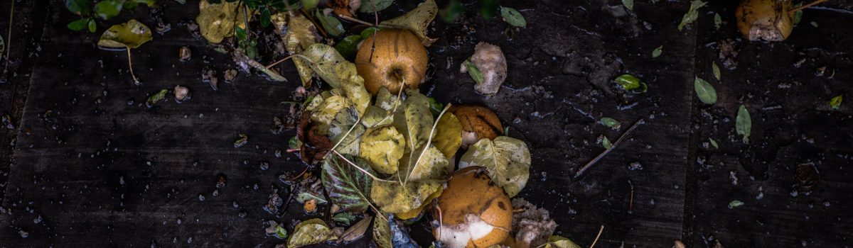 A Movement to Less Waste: Australia’s National Food Waste Strategy